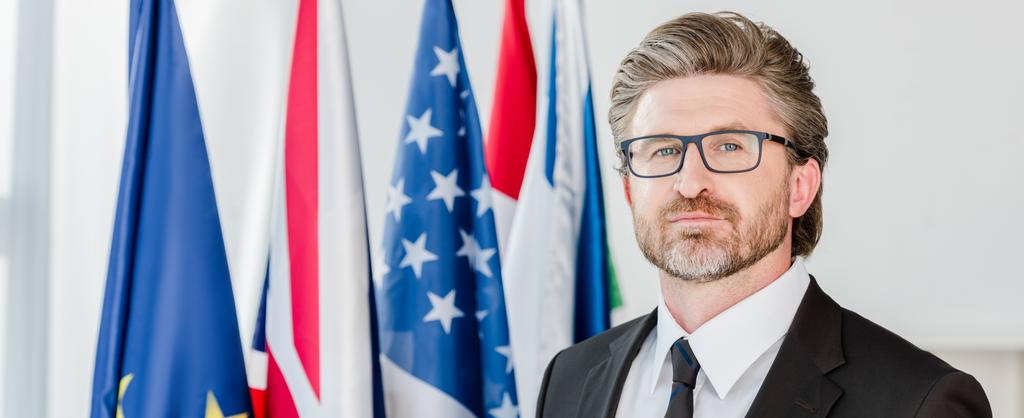 panoramic shot of handsome diplomat in glasses looking at camera near flags  - Photo, Image