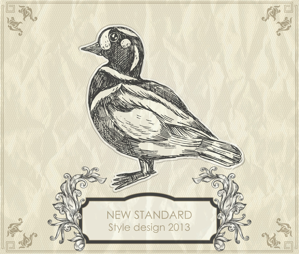 Vintage hand-drawing duck. Vector illustration - Vector, Image