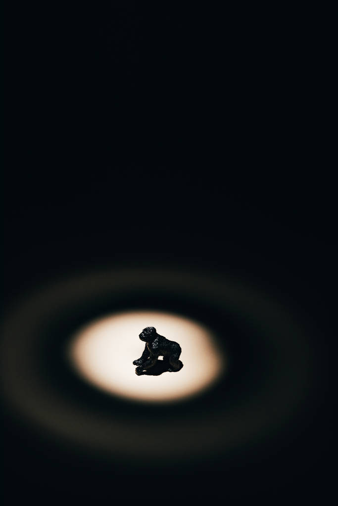 Gorila de brinquedo sob holofotes no fundo preto
 - Foto, Imagem