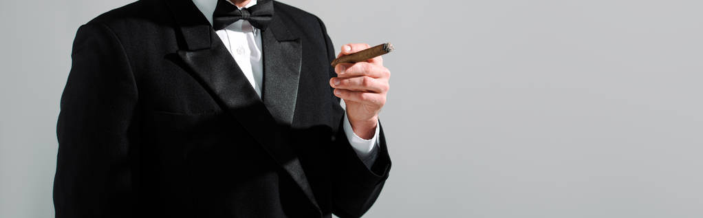 панорамний знімок людини в костюмі тримає сигару ізольовано на сірому
  - Фото, зображення