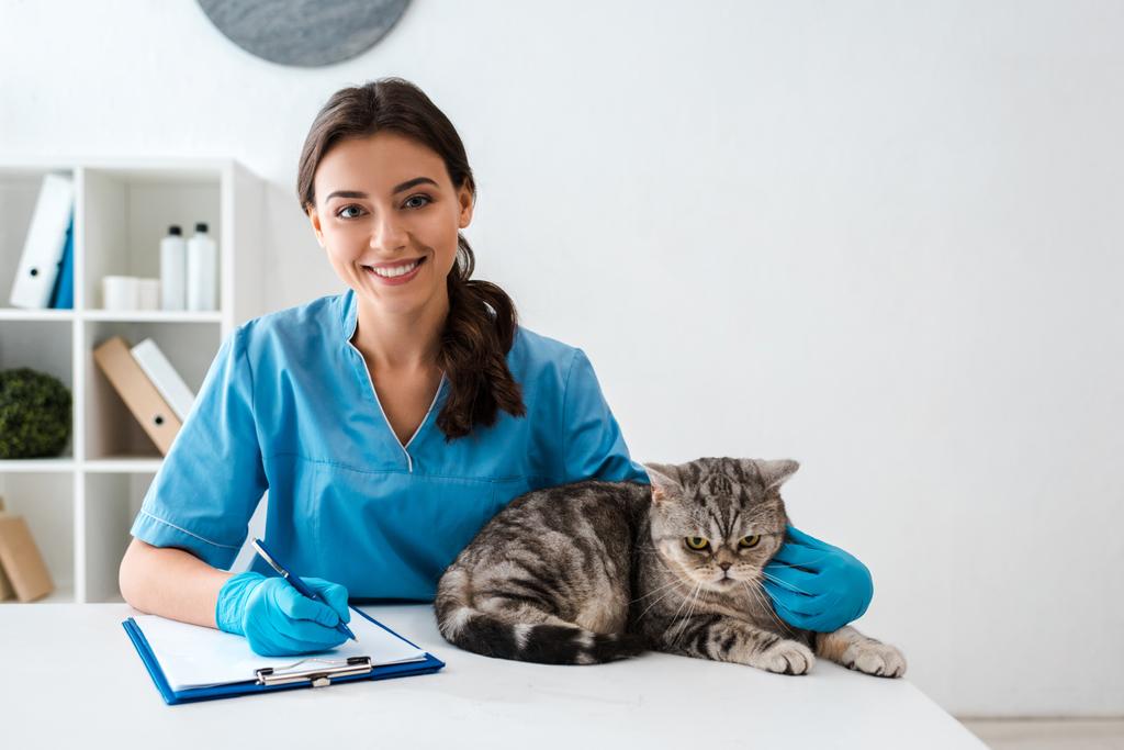 joven veterinario sonriendo en cámara mientras escribe en portapapeles cerca tabby escocés recta gato
 - Foto, Imagen