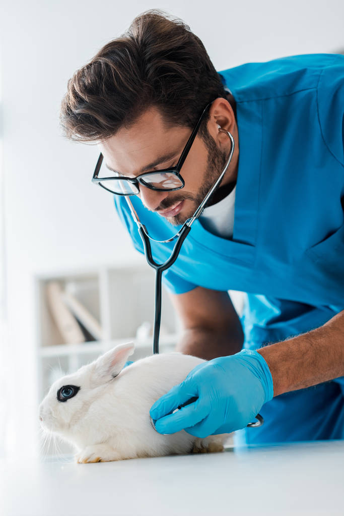 Aufmerksame Tierärztin untersucht niedliches weißes Kaninchen mit Stethoskop - Foto, Bild
