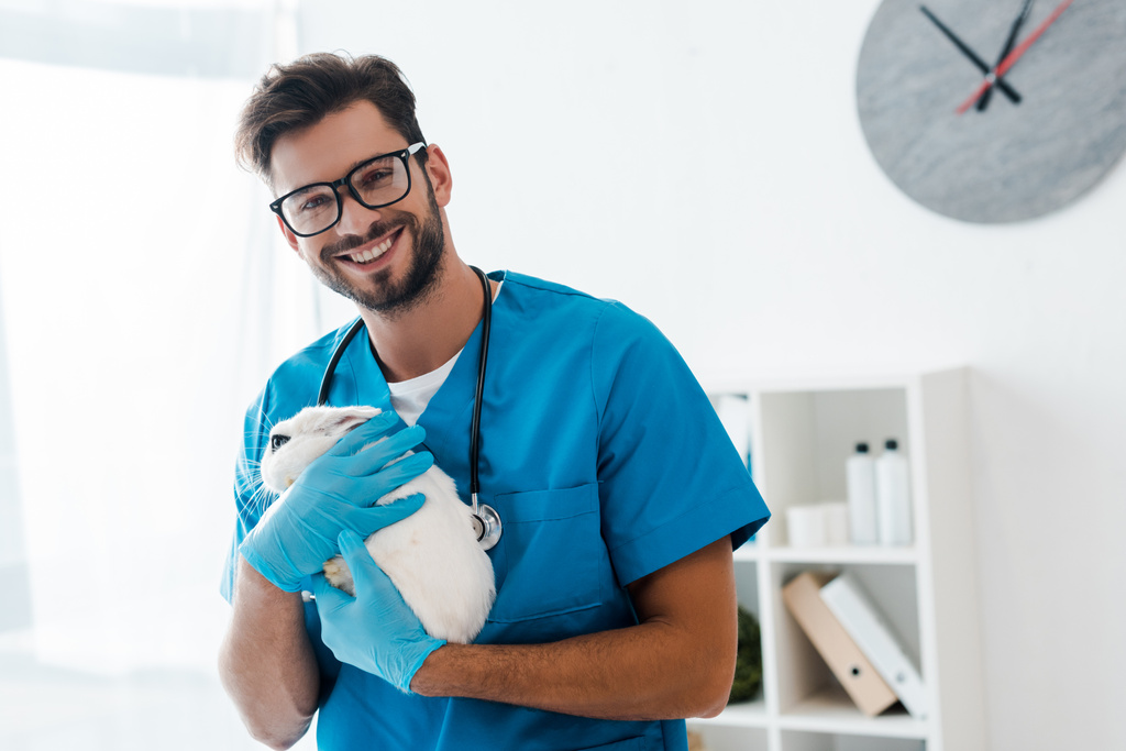 handsome, positive veterinarian smiling at camera while holding cute black and white rabbit on hands - Photo, Image