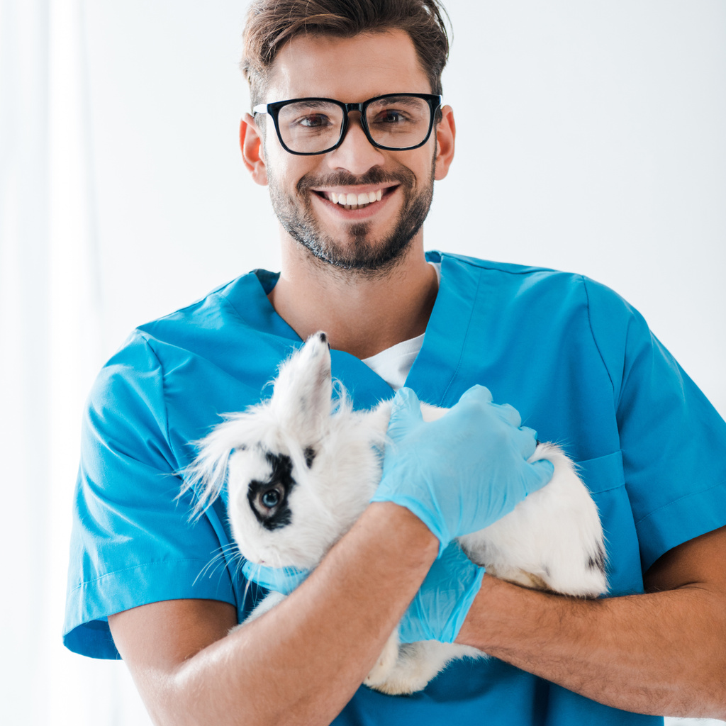 cheerful veterinarian smiling at camera while holding cute black and white rabbit on hands - 写真・画像