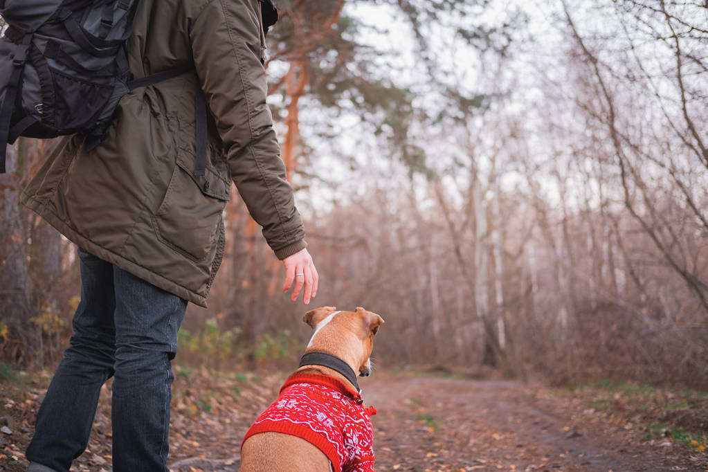 Aktivní odpočinek venku: muž se svým psem pěší turistika v lese. - Fotografie, Obrázek