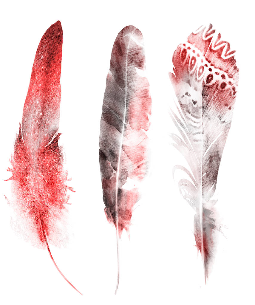 Φτερά ακουαρέλας, απομονωμένα σε λευκό φόντο - Φωτογραφία, εικόνα