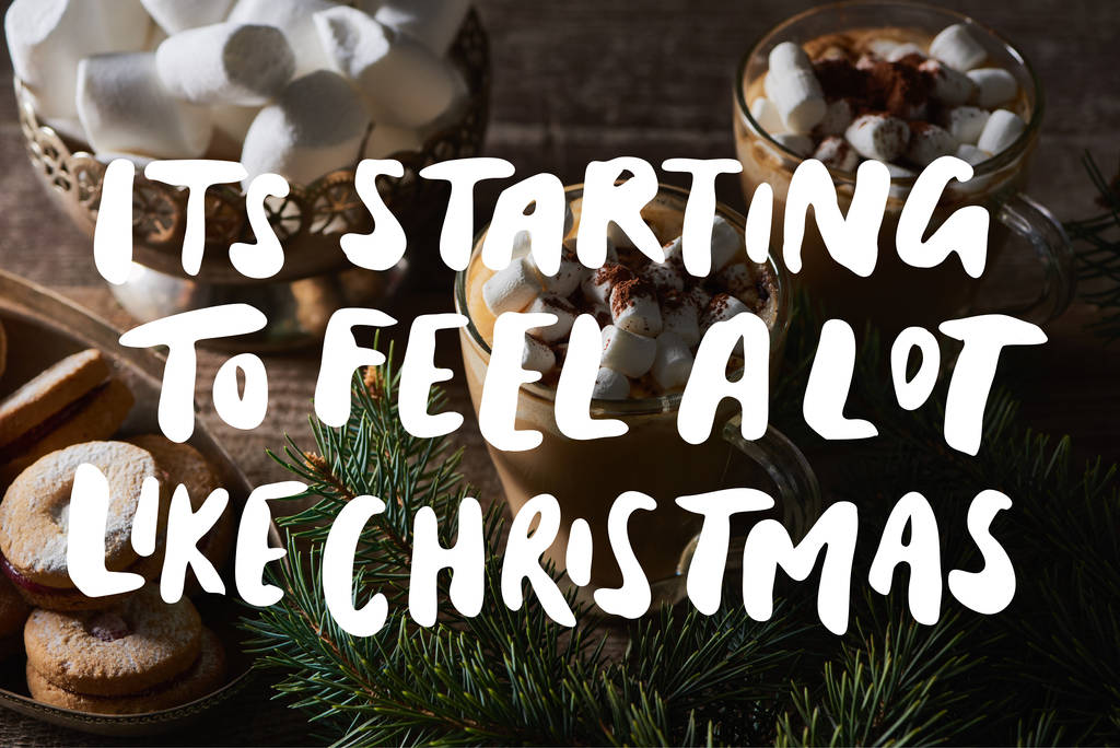 kakao s marshmallow a kakao prášek v hrncích v blízkosti borových větví a sušenky na dřevěném stole s jeho začíná cítit hodně jako vánoční ilustrace - Fotografie, Obrázek