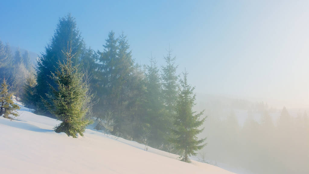 talvi satu maisemia vuorilla
 - Valokuva, kuva