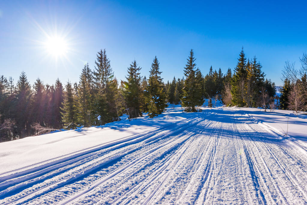 В морозный зимний день квадроциклы и лыжные трассы в снегу - Фото, изображение
