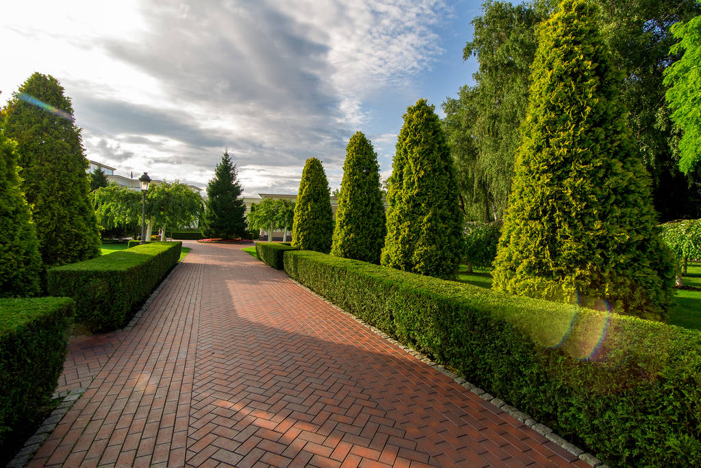 um caminho pedestre de pavimentação lajes no jardim com sebe de thuja evergreen e nuvens no céu com chama de sol
. - Foto, Imagem