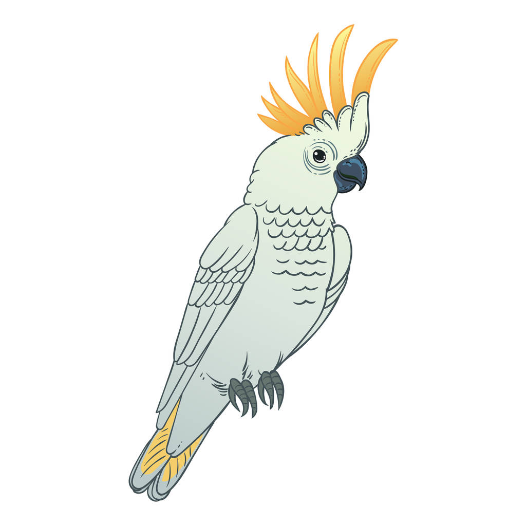 Bel oiseau exotique tropical perroquet. Illustration vectorielle
. - Photo, image