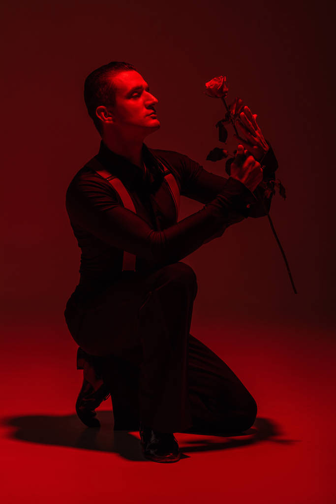 érzéki tangó táncos kezében vörös rózsa, miközben áll térden sötét háttér piros világítás - Fotó, kép