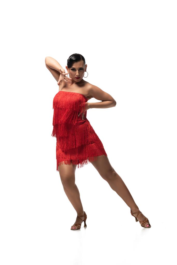 houkutteleva, intohimoinen tanssija punaisessa mekossa, jossa on hapsut katselemassa kameraa suorittaessaan tangoa valkoisella taustalla
 - Valokuva, kuva