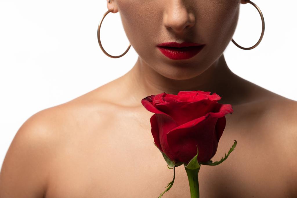 обрізаний вид чуттєвого танго танцюриста, який тримає червону троянду ізольовано на білому
 - Фото, зображення