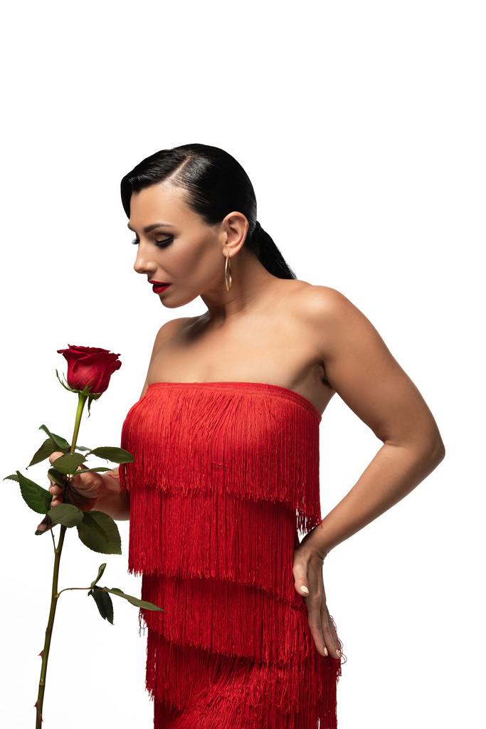 чуттєвий, елегантний танго танцюрист у сукні з бахромою, що тримає червону троянду ізольовано на білому
 - Фото, зображення