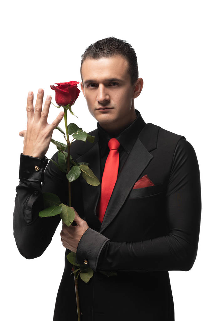 страстный, элегантный танцор танго, держащий черную розу и смотрящий на камеру, изолированную на белом
 - Фото, изображение