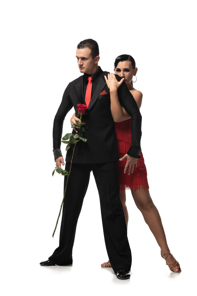 sensual, beautiful dancer hugging partner holding red rose while performing tango on white background - Photo, Image