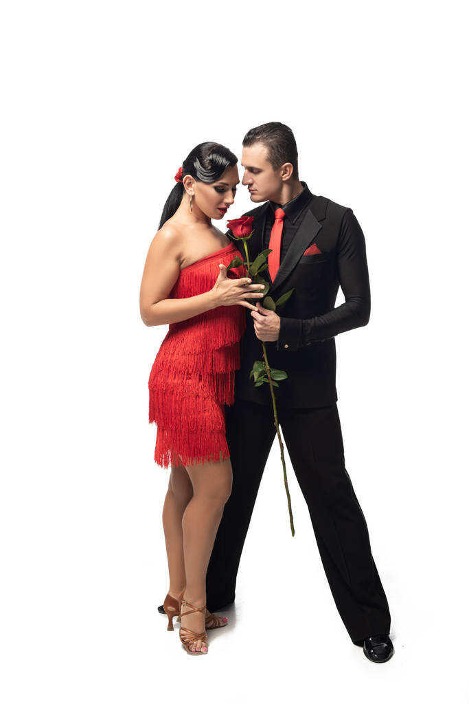 expressive, elegant dancer gifting red rose to attractive, sensual partner on white background - Photo, Image