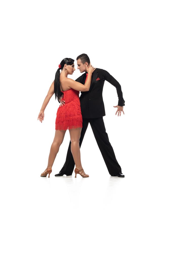 Beyaz arka planda tango yaparken birbirine bakan zarif dansçılar. - Fotoğraf, Görsel