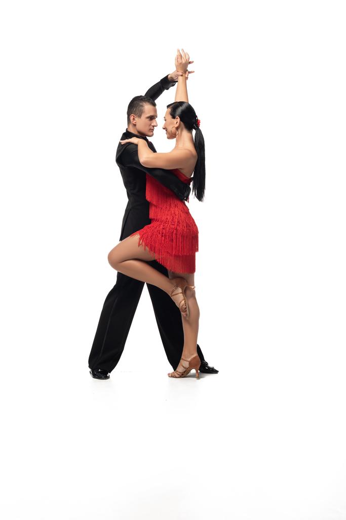 sensual, elegant dancers performing tango on white background - Photo, Image