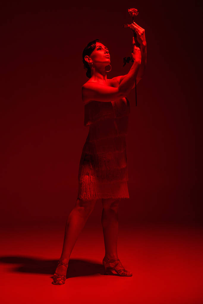 elegancki tancerz z czerwoną różą wykonujący tango na ciemnym tle z czerwonym oświetleniem - Zdjęcie, obraz
