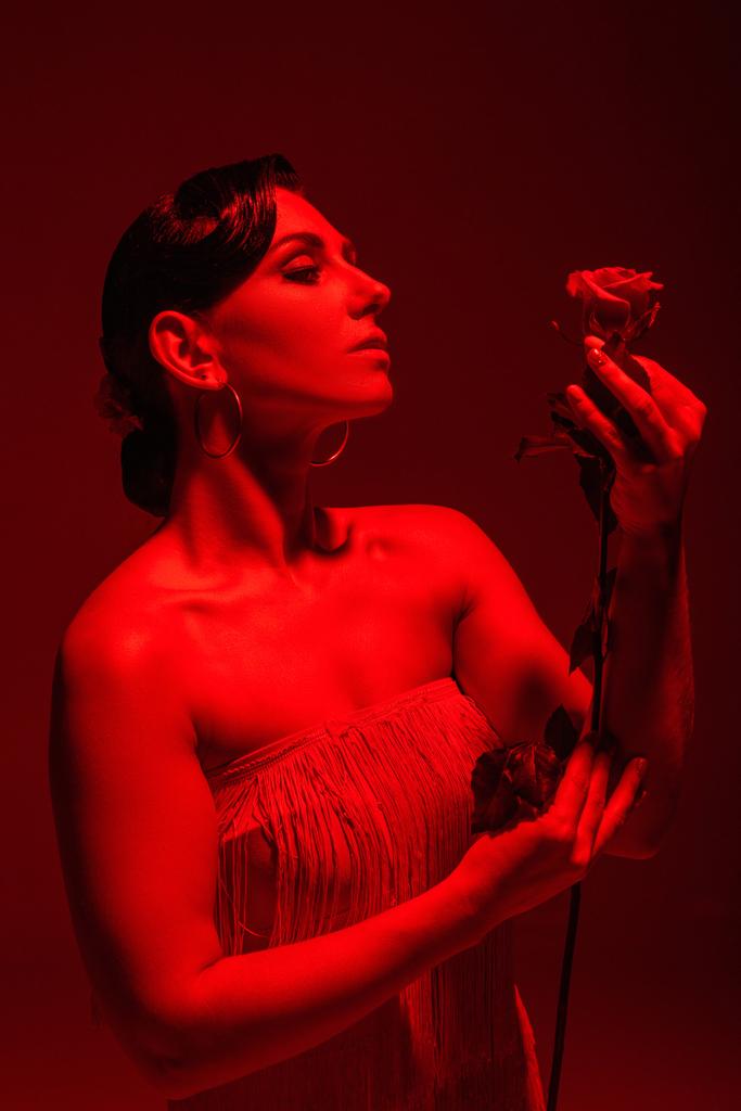 mooie tango danser met rode roos op donkere achtergrond met rode verlichting - Foto, afbeelding