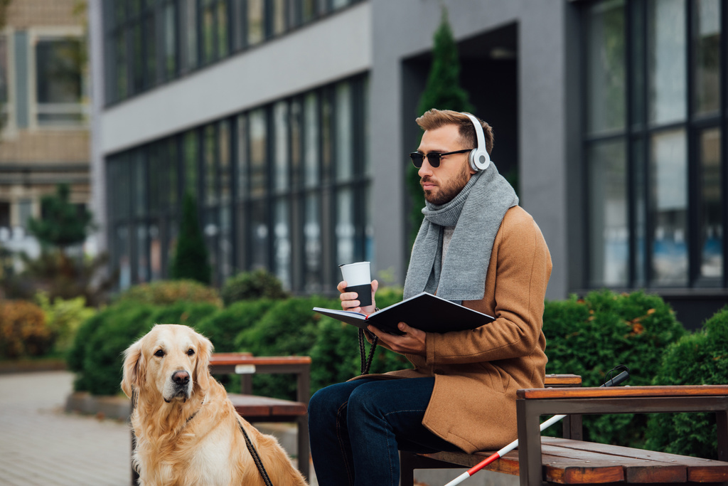 Vak ember fülhallgatóban, kezében könyv és termo bögre a padon mellett vakvezető kutya  - Fotó, kép