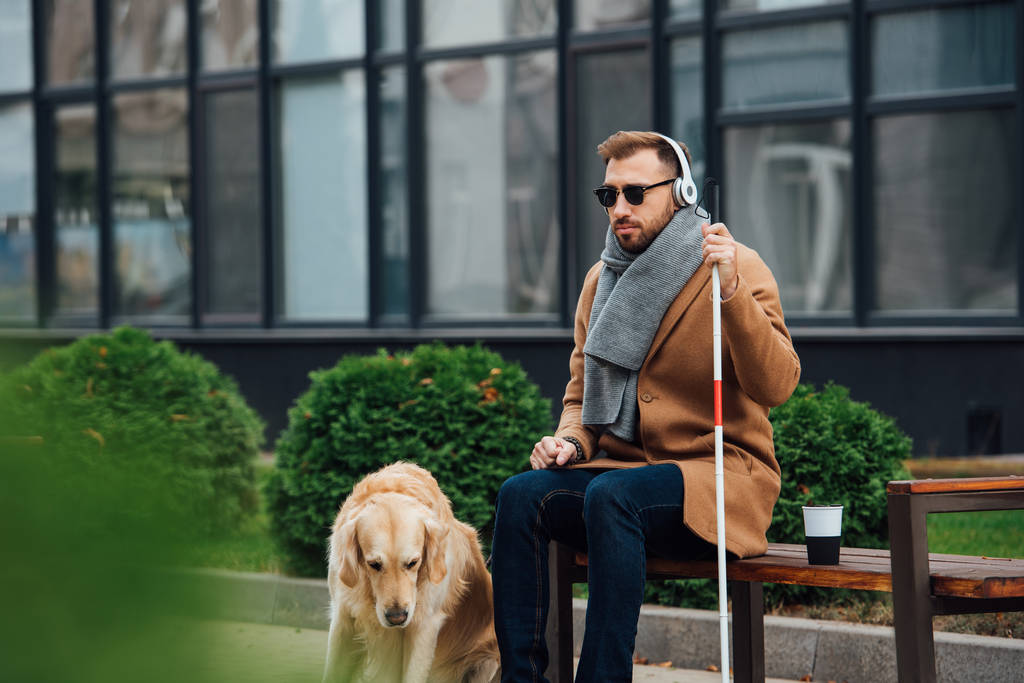Τυφλός με ακουστικά κρατώντας μπαστούνι δίπλα σε σκύλο οδηγό στο πάρκο - Φωτογραφία, εικόνα