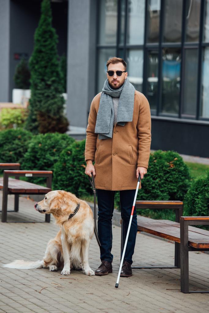 Blinde man met wandelstok en geleidehond in park - Foto, afbeelding