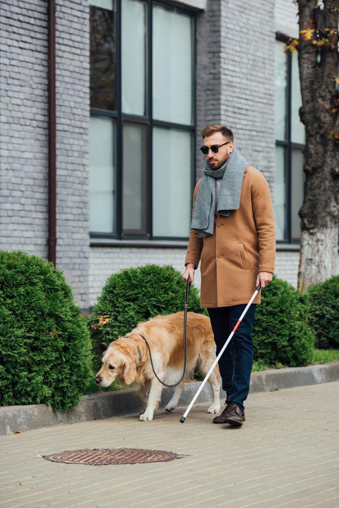 Слепой человек с тростью держит на поводке собаку-поводыря на улице
 - Фото, изображение