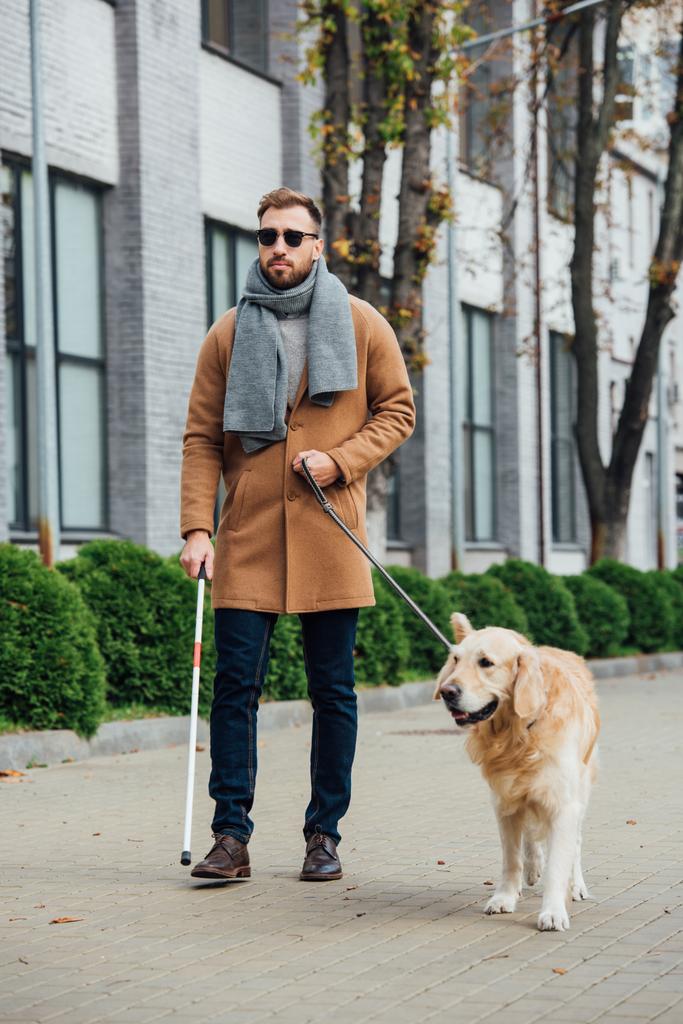 Τυφλός άνθρωπος που περπατά με σκύλο οδηγό σε αστικό δρόμο - Φωτογραφία, εικόνα