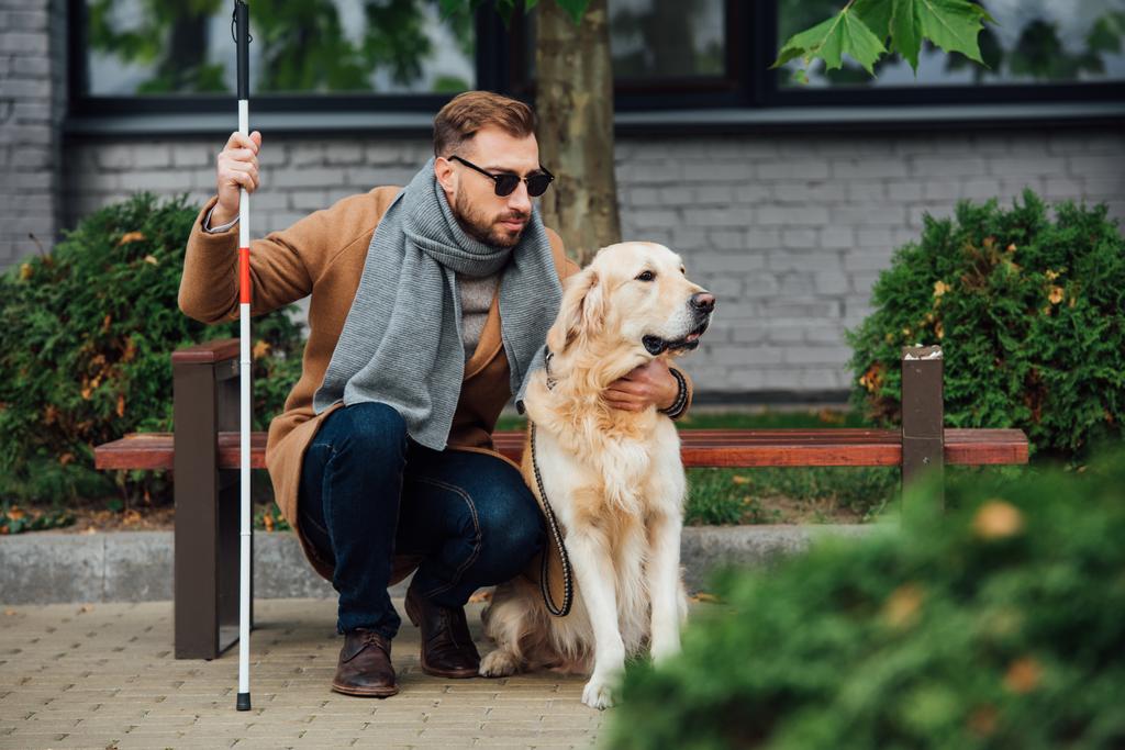 Cieco con bastone da passeggio abbracciare cane guida sulla strada
  - Foto, immagini