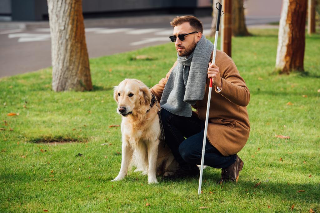 Aveugle avec bâton de marche et chien-guide sur la pelouse
  - Photo, image