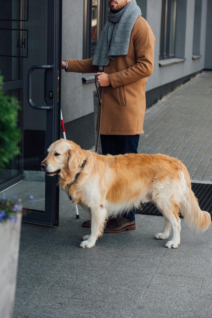 Gebonden zicht op blinde man met geleidehond en wandelstok openslaande deur van gebouw - Foto, afbeelding