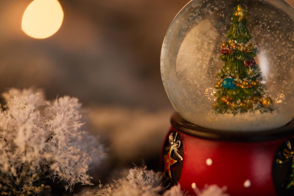 fechar-se de bola de neve pouco com árvore de Natal em pé na neve
  - Foto, Imagem
