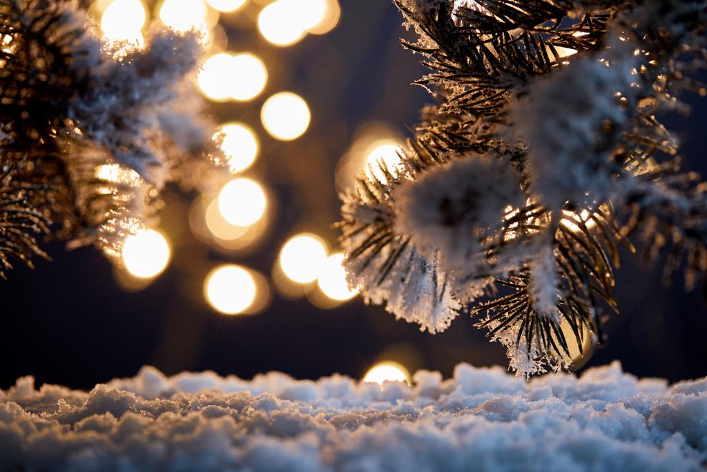 закрытие еловых ветвей в снегу с рождественскими огнями боке ночью
   - Фото, изображение