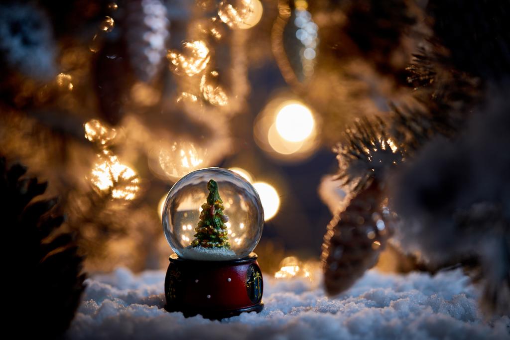 μικρό χριστουγεννιάτικο δέντρο σε χιονόμπαλα στέκεται στο χιόνι με κλαδιά ερυθρελάτης και θολή φώτα τη νύχτα - Φωτογραφία, εικόνα
