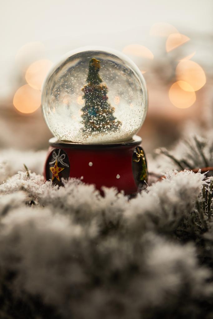 pequeño árbol de Navidad en bola de nieve de pie sobre ramas de abeto en la nieve con luces borrosas
   - Foto, imagen