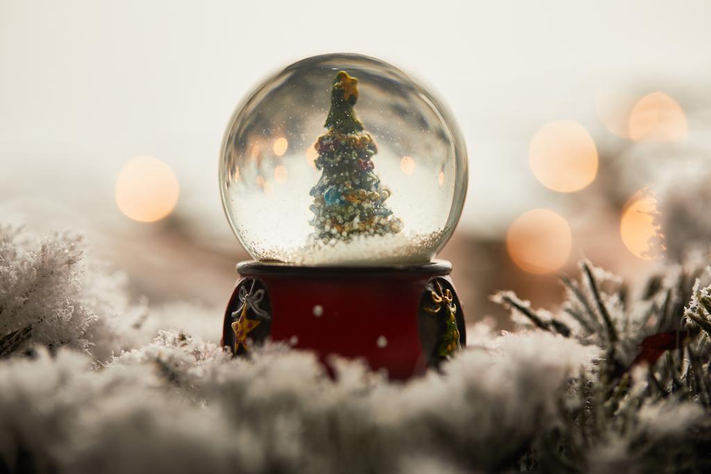 árbol de Navidad en bola de nieve de pie sobre ramas de abeto en la nieve con luces borrosas
   - Foto, Imagen