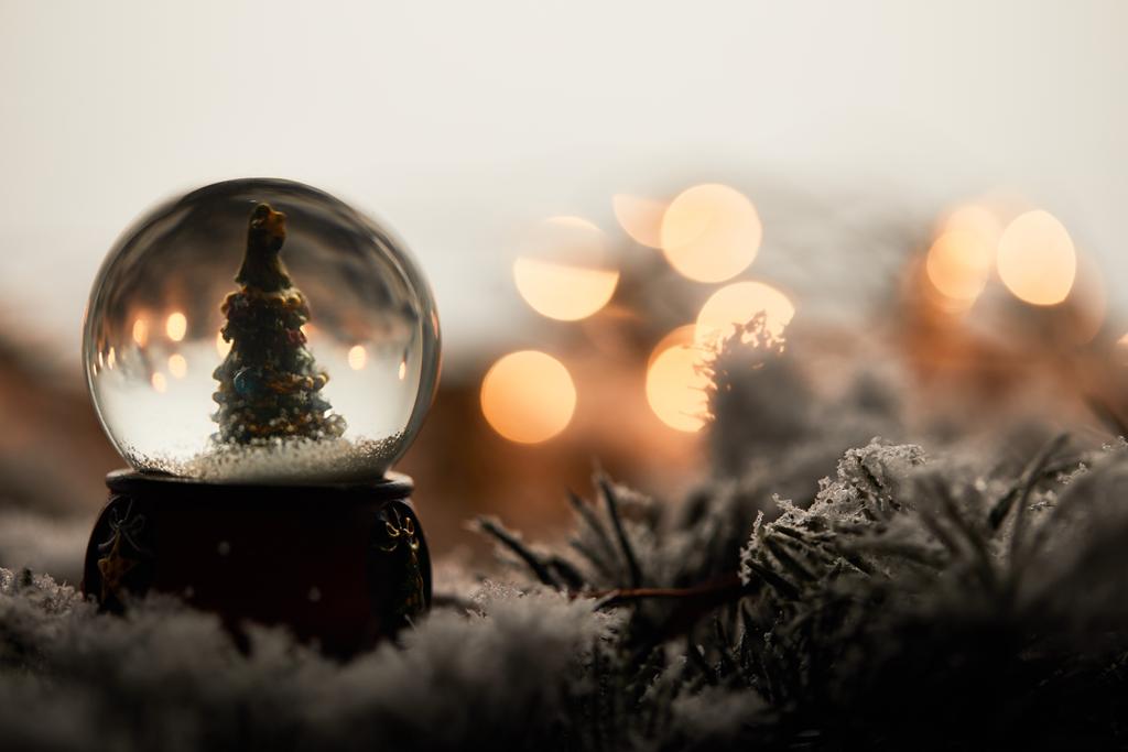 χιονόμπαλα με μικρό χριστουγεννιάτικο δέντρο στέκεται σε κλαδιά έλατο στο χιόνι με θολή φώτα   - Φωτογραφία, εικόνα