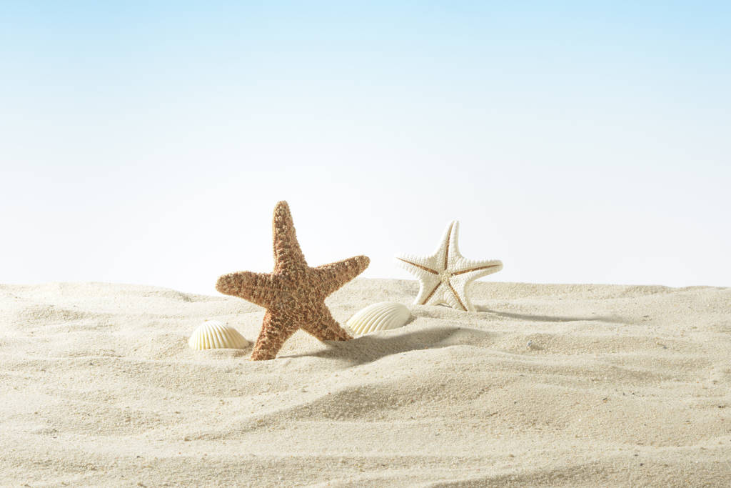 kum üzerinde kırmızı deniz yıldızı - Fotoğraf, Görsel