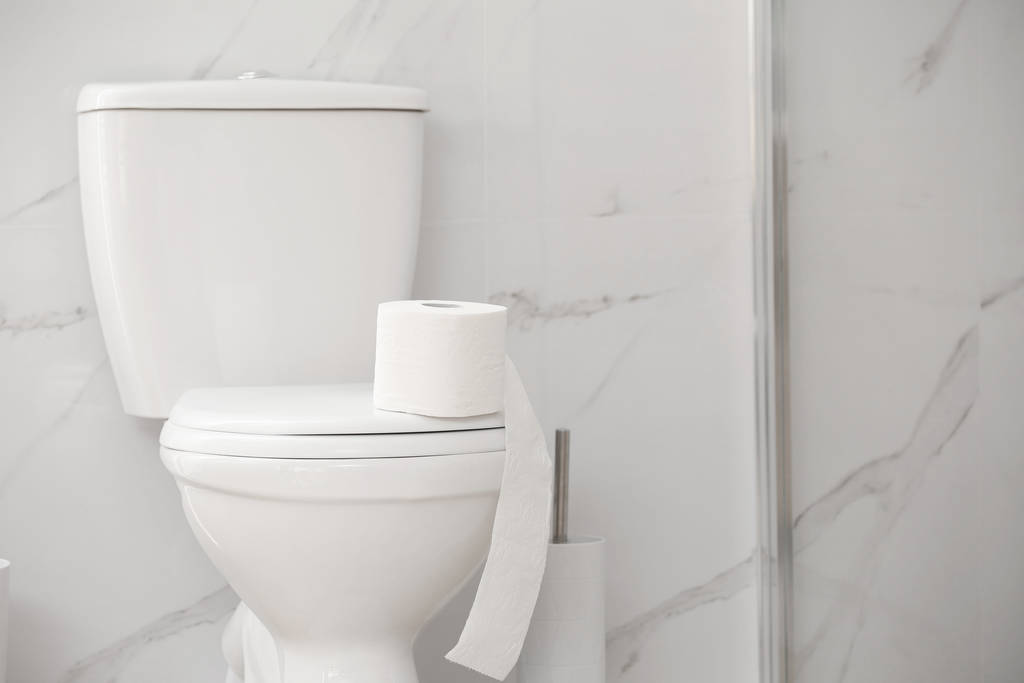 Bol de toilette moderne avec rouleau de papier dans la salle de bain
 - Photo, image