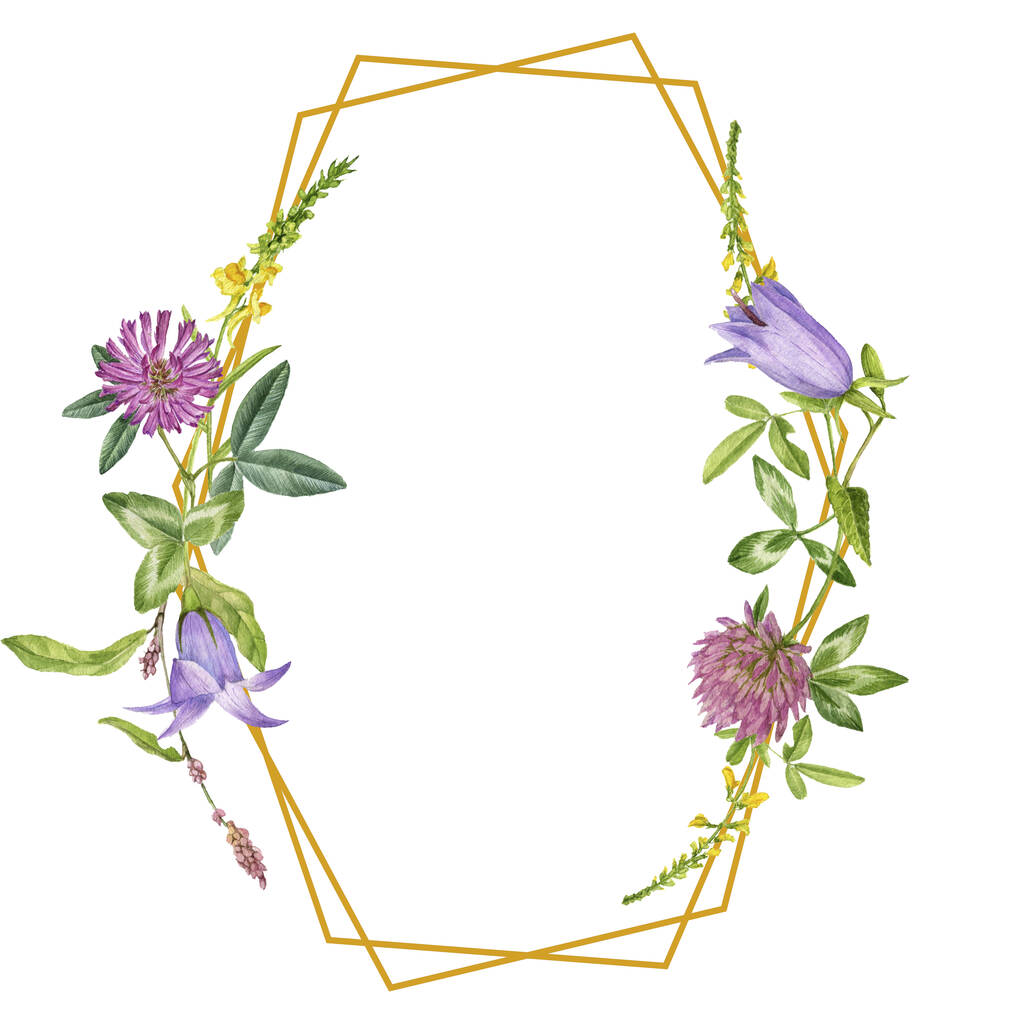 квітковий шаблон з дикими рослинами і квітами, малюнок аквареллю
 - Фото, зображення