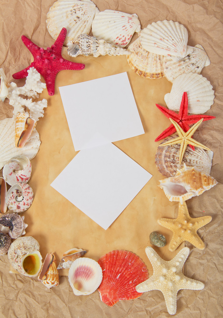 Frame from starfishes and cockleshells with two blank card on old paper - Photo, Image