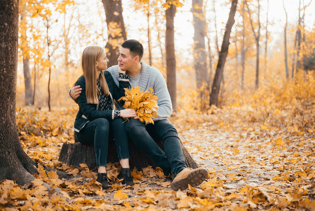 belo feliz jovem casal sentado juntos no parque de outono
 - Foto, Imagem