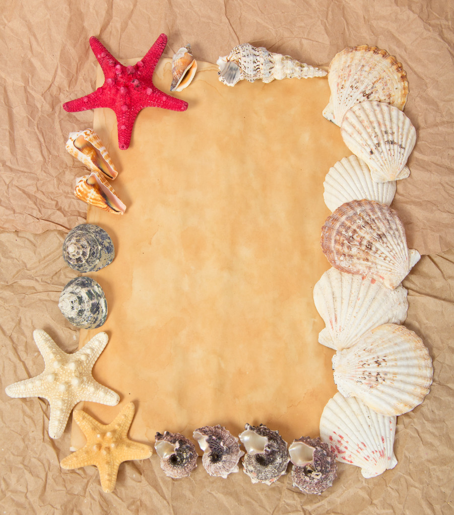 Régi papír, starfishes és cockleshells - Fotó, kép