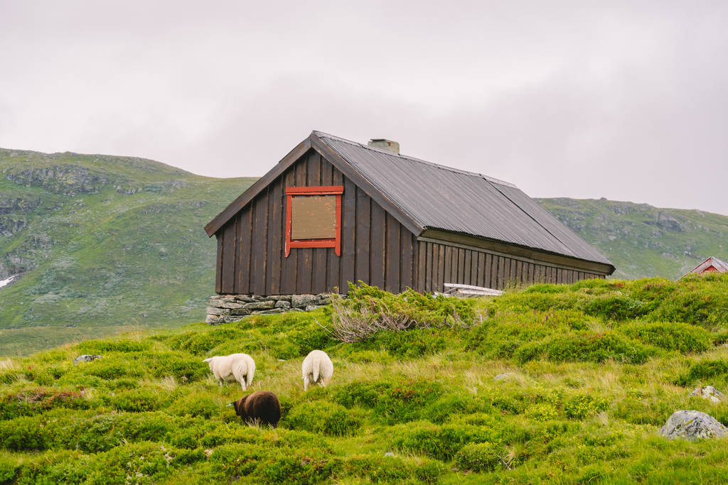 cabaña cabañas de montaña de madera en el paso de montaña Noruega. Paisaje noruego con casas típicas de hierba escandinava. Pueblo de montaña con pequeñas casas y cabañas de madera con césped en el techo en el valle
 - Foto, imagen