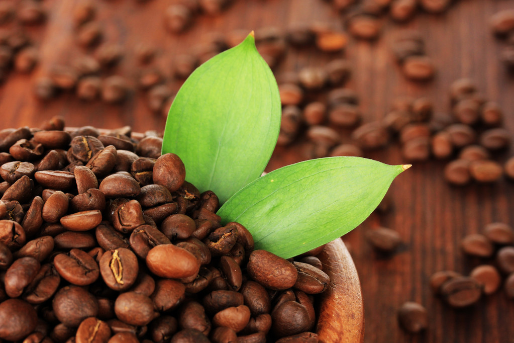 Coffee beans in bowl on wooden background - Photo, Image