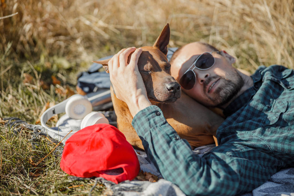 Proprietário deitado com o cão e batendo-lhe foto stock
 - Foto, Imagem