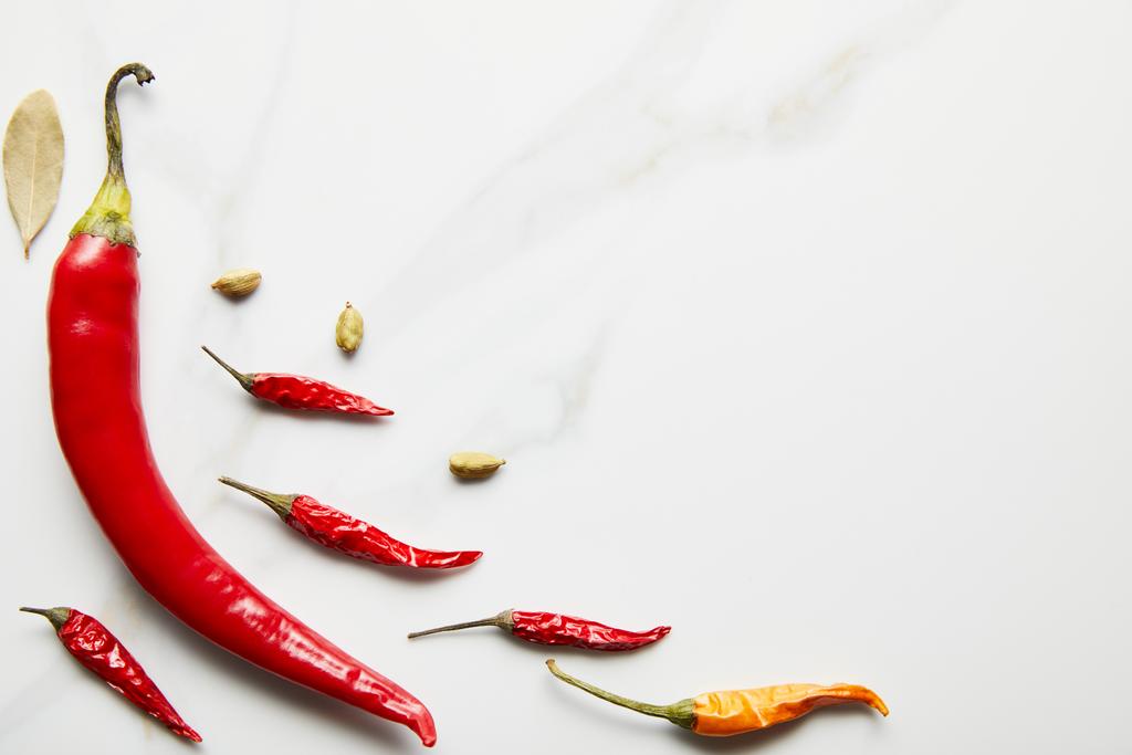 Horní pohled na chilli papričky s kardamom a bobkový list na mramorovém pozadí - Fotografie, Obrázek